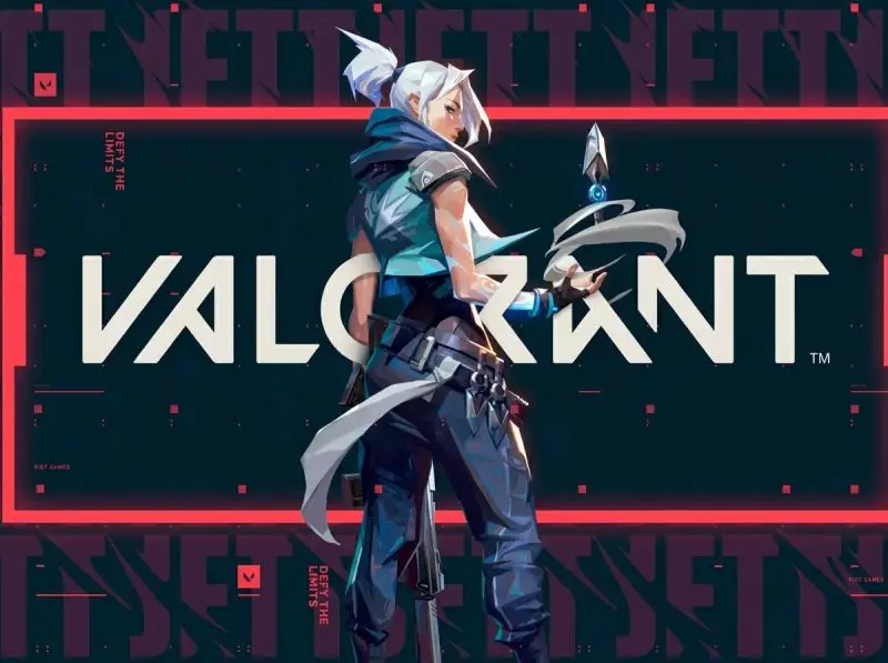 VP 325 Valorant